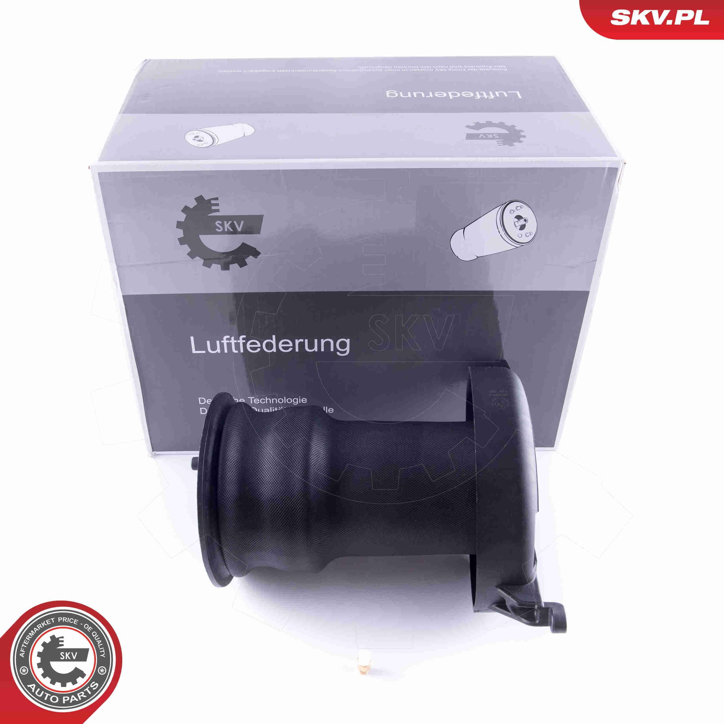 Image of Poduszka powietrzna, zawieszenie