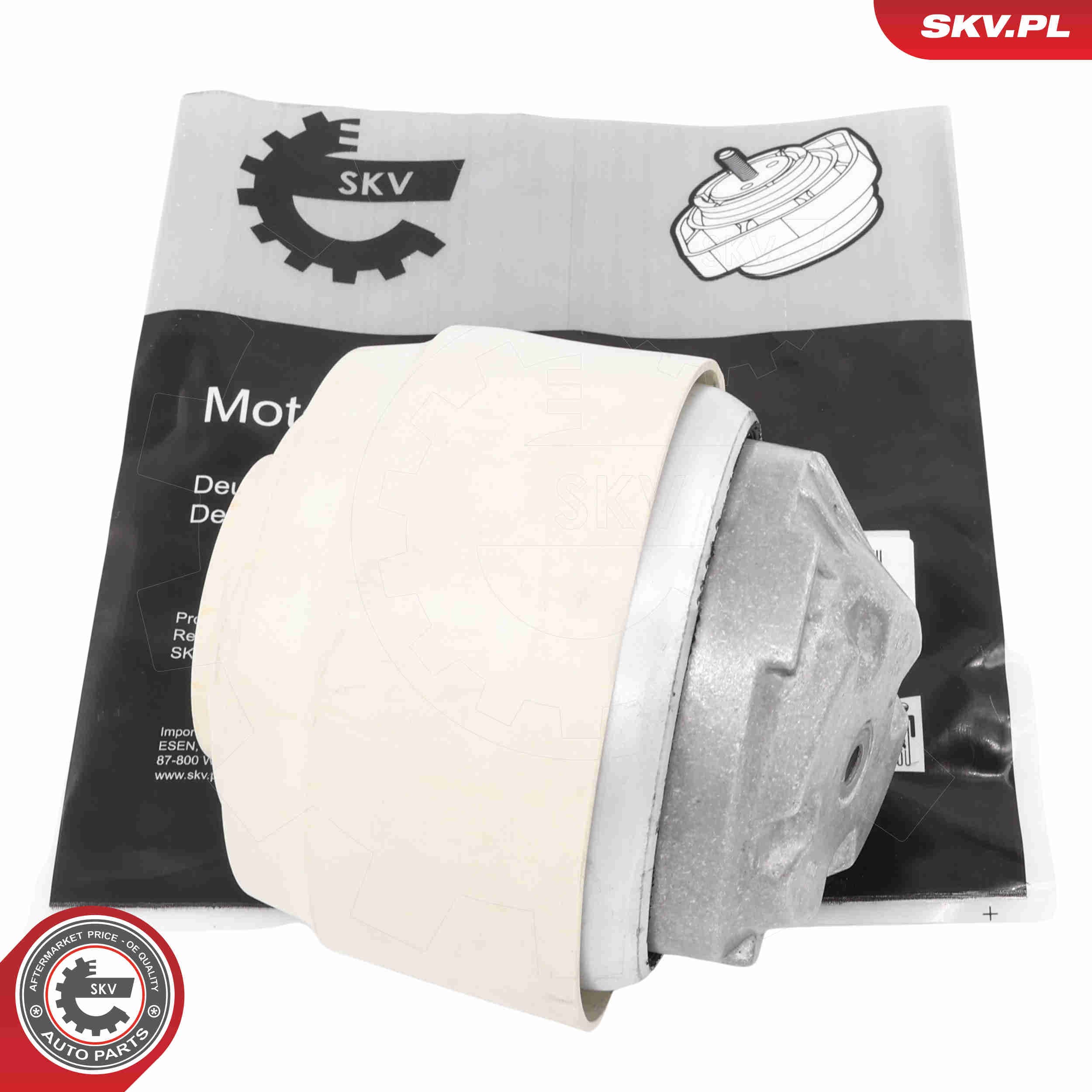 Image of Mounting, engine